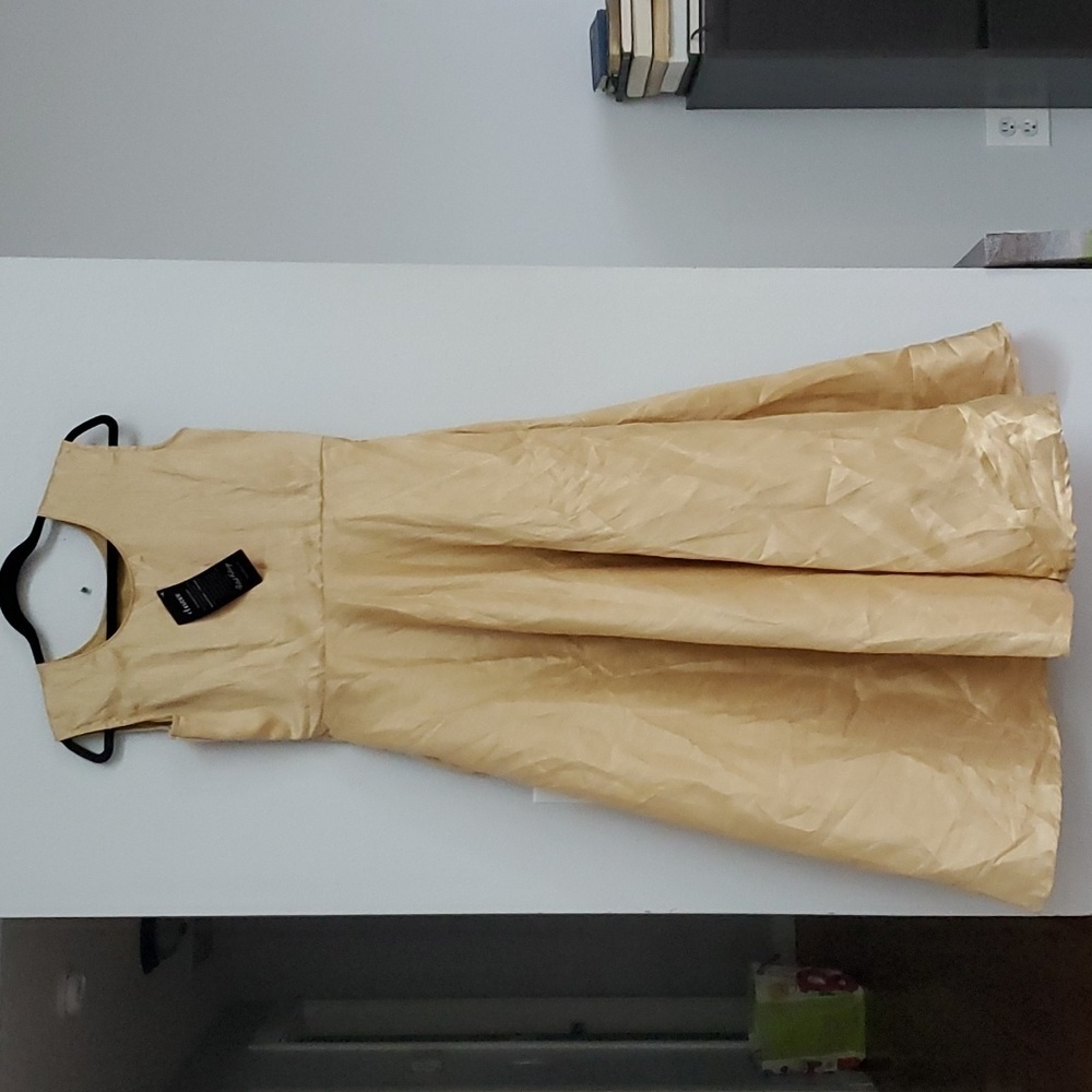 Cbazaar gold fit and flare maxi dress